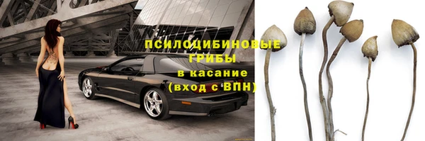 прущая мука Алзамай