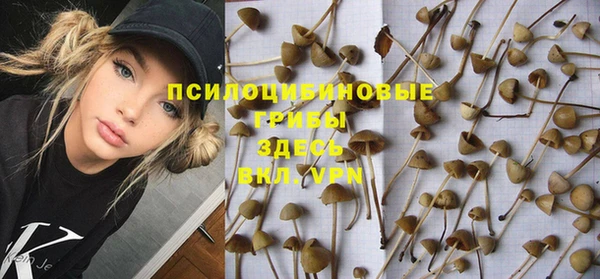 прущая мука Алзамай