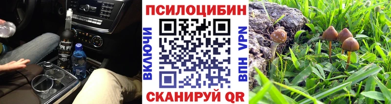 МЕГА рабочий сайт  где продают наркотики  Полярные Зори  Галлюциногенные грибы MAGIC MUSHROOMS 